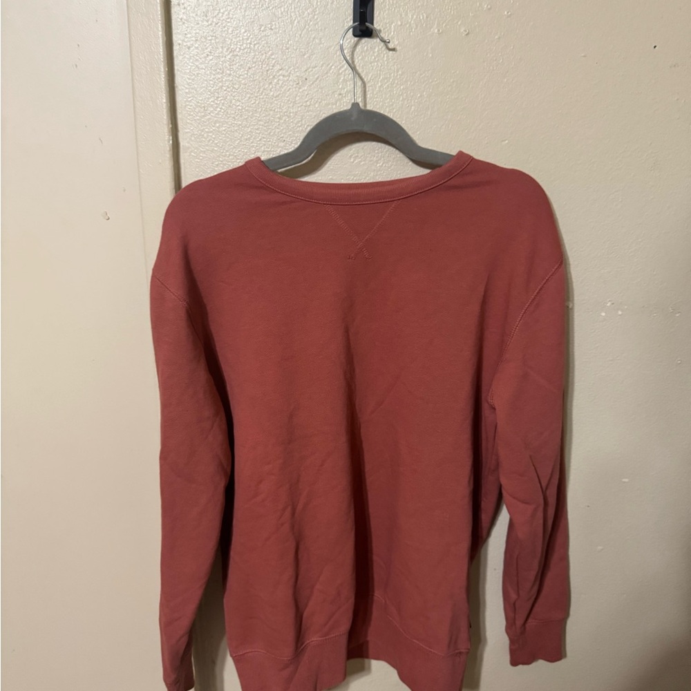 Express Brick Red Crewneck Pullover